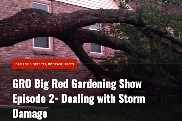 GRO Big Red - Dealing with Storm Damage, Acreage Insights July 2017, http://acreage.unl.edu