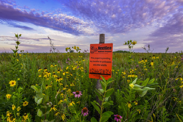 Seed A Legacy - Pollinator Habitat Program, Nebraska Extension Acreage Insights for August 17, 2018, https://communityenvironment.unl.edu/seed-legacy