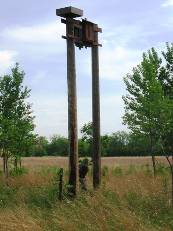 Bat house on pole