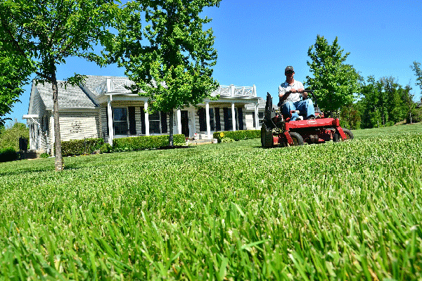 Is a Lawn Care Service Right for You? 