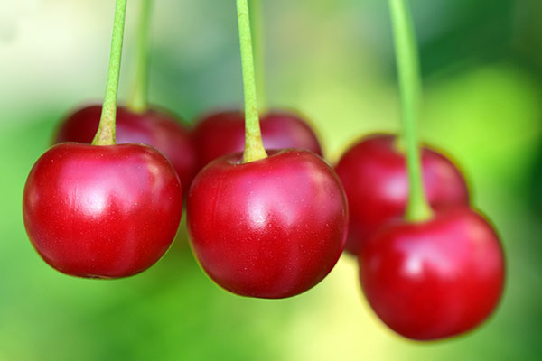 Image of cherries. 