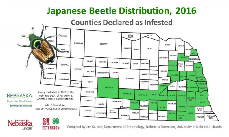 Map of Japanese Beetle Distribution in Nebraska. Links to Larger image and article Japanese Beetles Migrating West