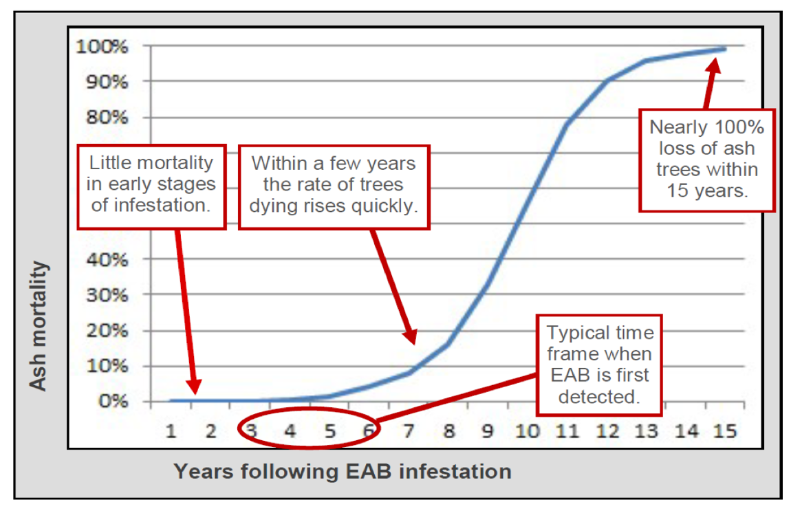 EAB death curve