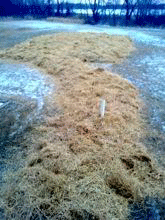 Reduce Risk of a Frozen Septic System, Acreage Insights for January 2018, http://communityenvironment.unl.edu/reduce-risk-frozen-septic-system