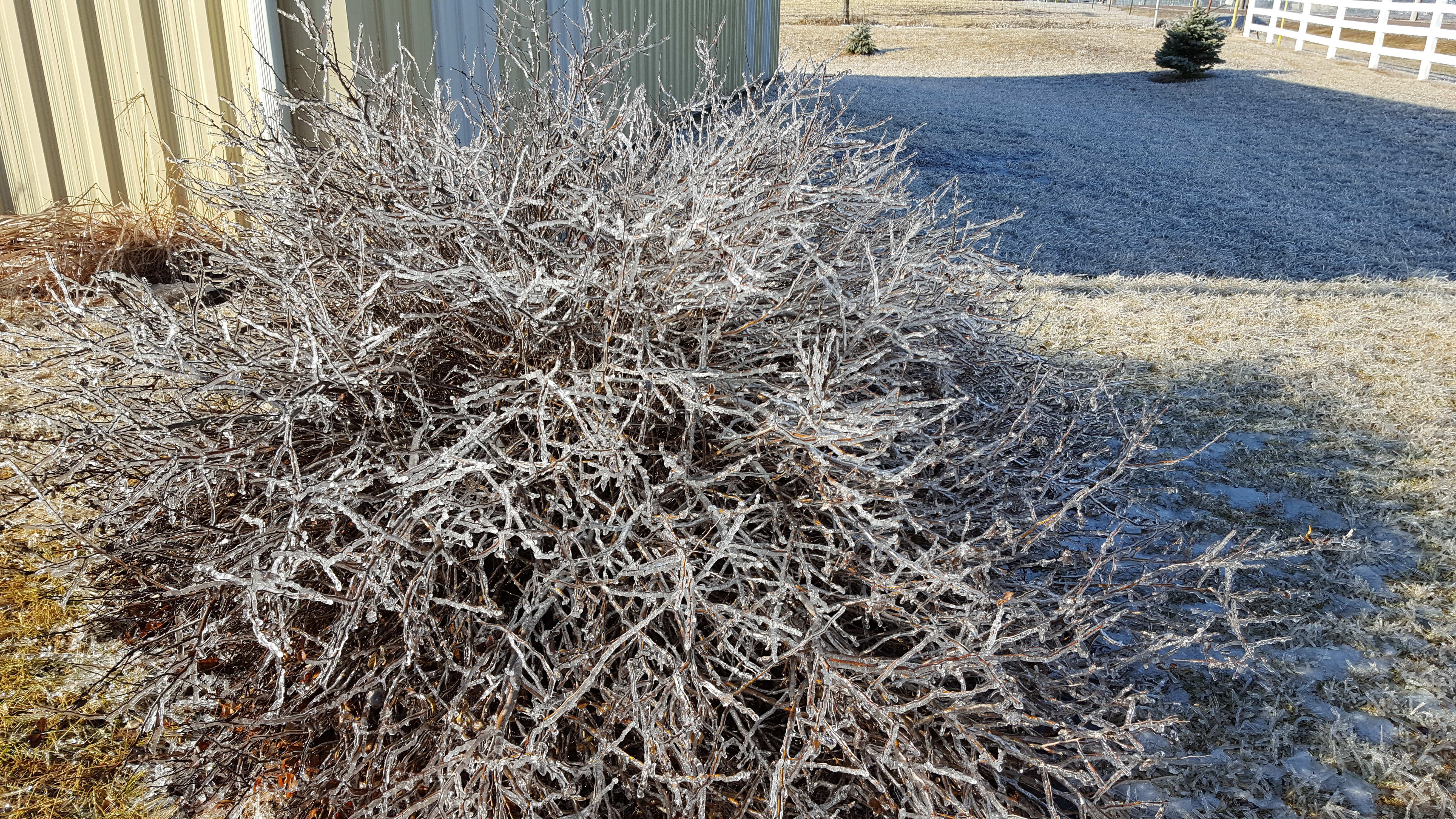 Ice in the landscape