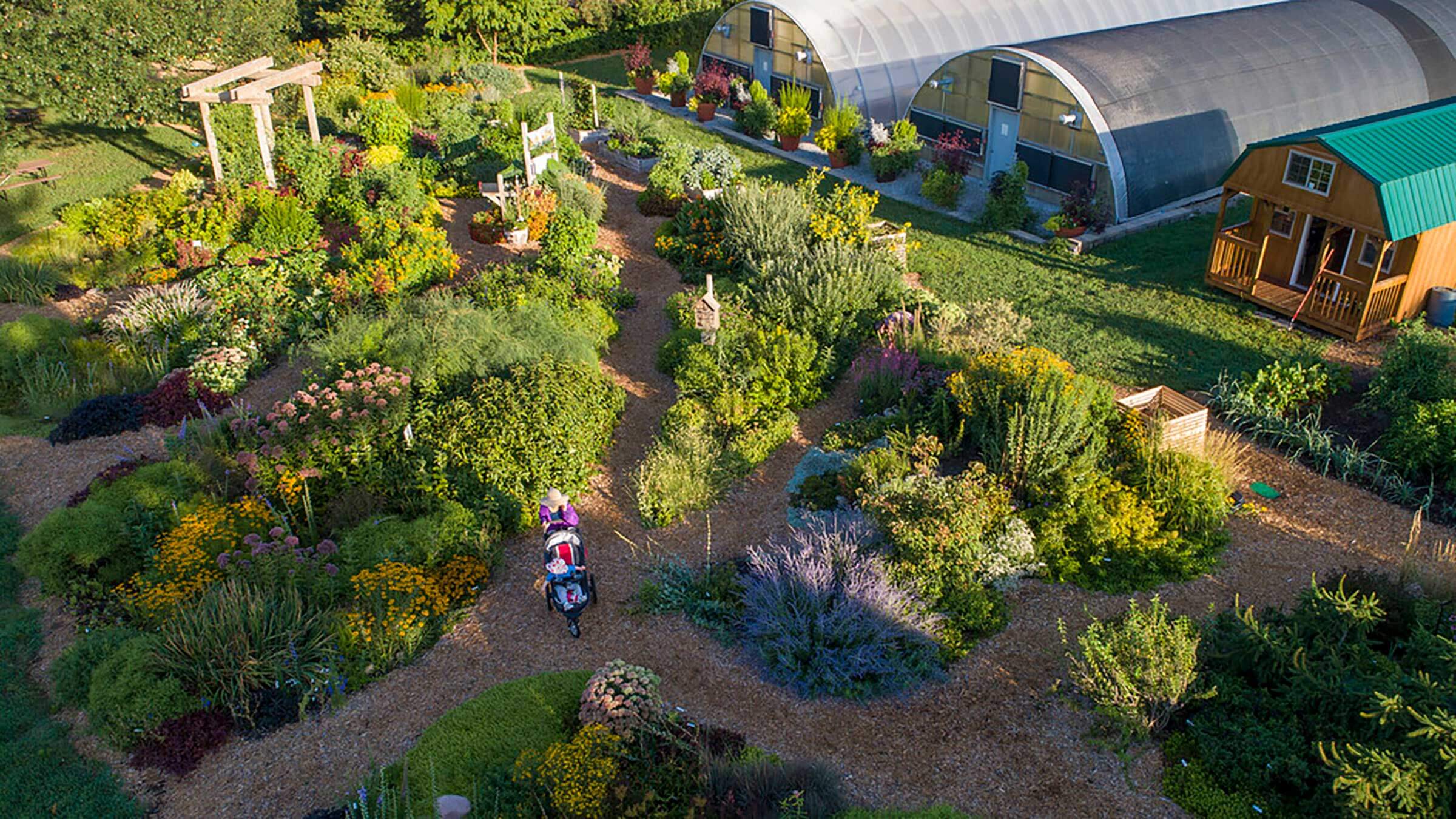 Overhead image of Backyard Farmer garden. 