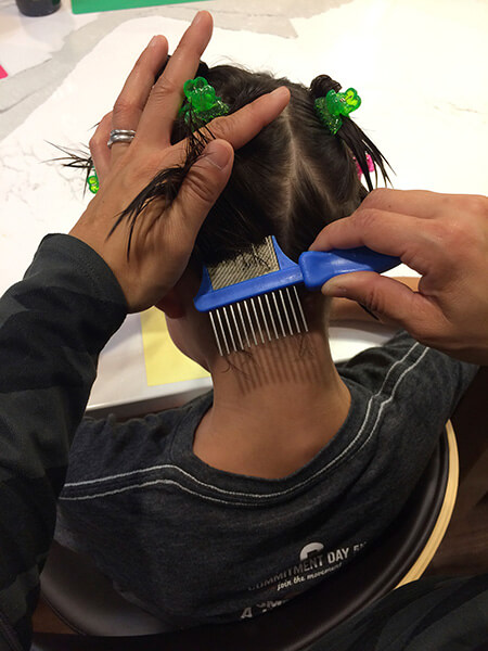 Image of head lice control with a comb. 