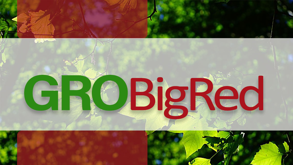 Image of GRO Big Red Blog emblem. 