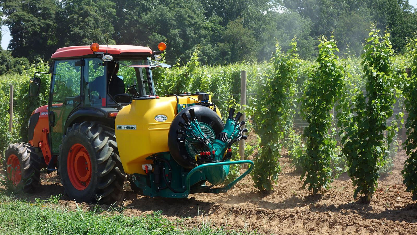 Image of grapes being sprayed for pest.