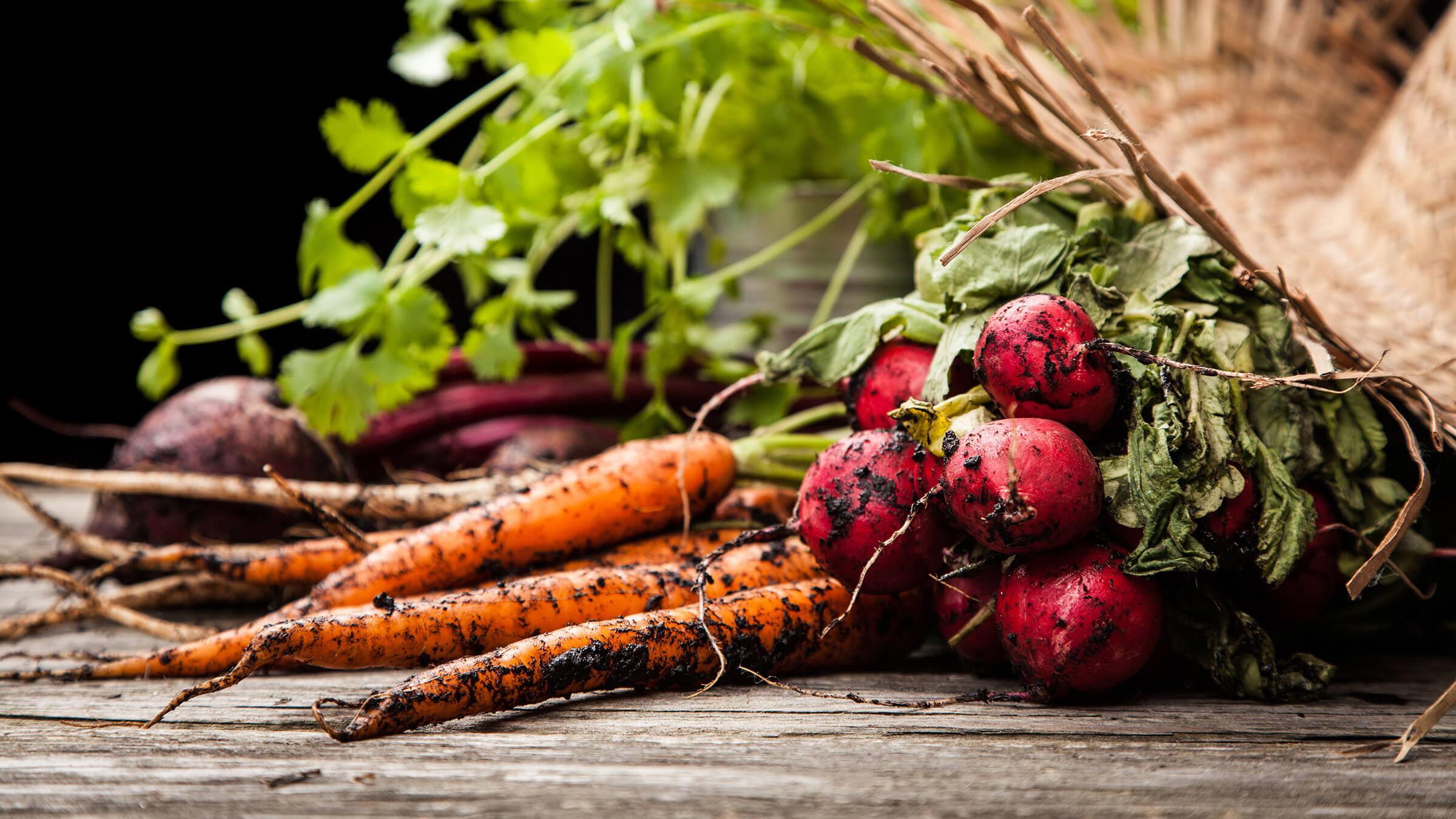 Image of vegetable harvest. 