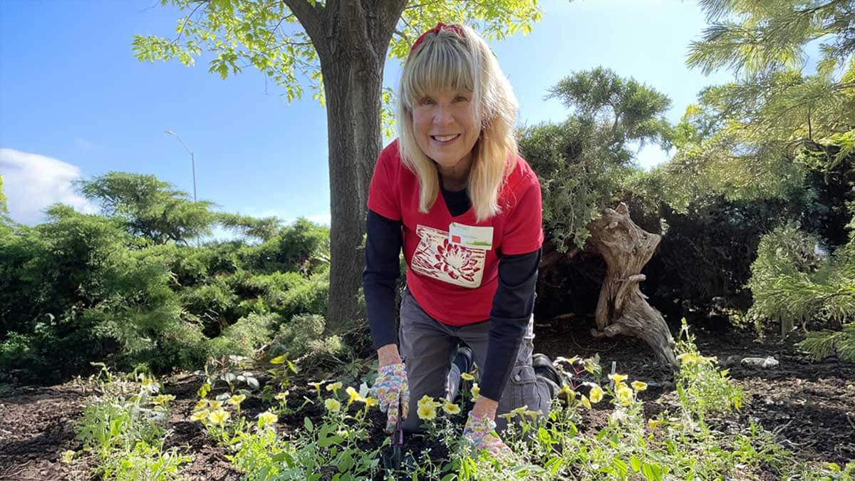 Image of an Extension Master Gardener volunteer. 