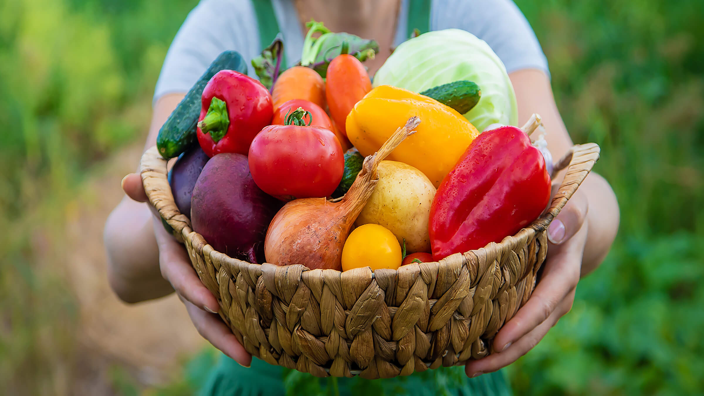 Image of vegetables in a harvest basket. 