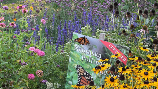 Image of Pollinator habitat sign. 