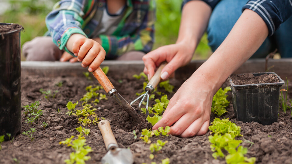image of a child gardening with an adult