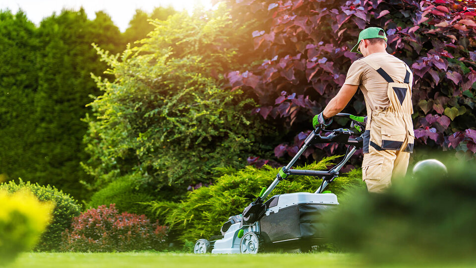 Image of landscaper mowing client's lawn. 