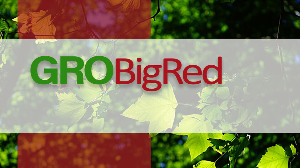 GRO Big Red Virtual Learning