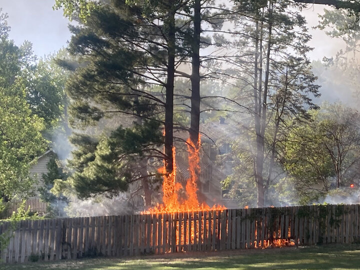 Image of a landscape fire. 