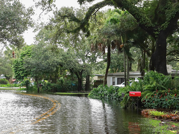 Image of flooded landscape. 