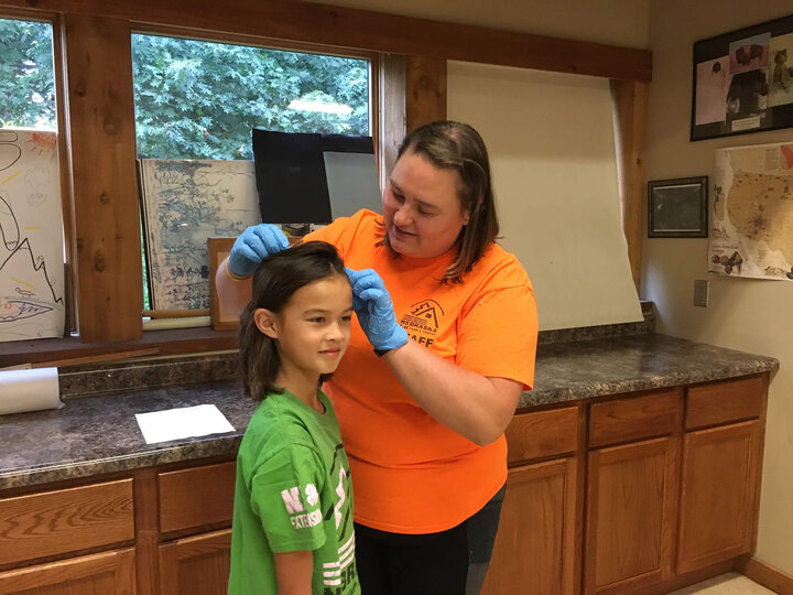 Image of head lice inspection. 