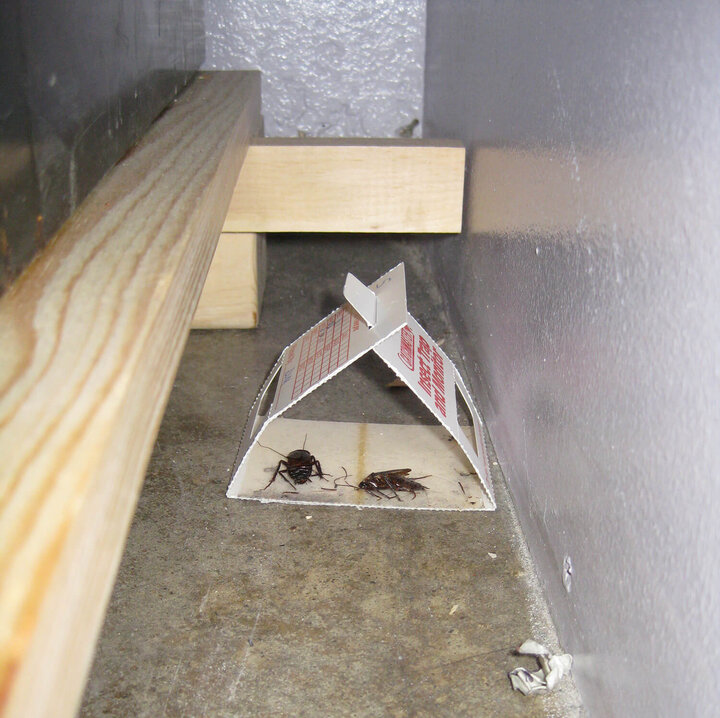 Image of cockroach bait station.