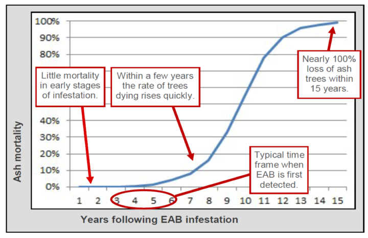 Time of noticeable tree death in a community from emerald ash borer.