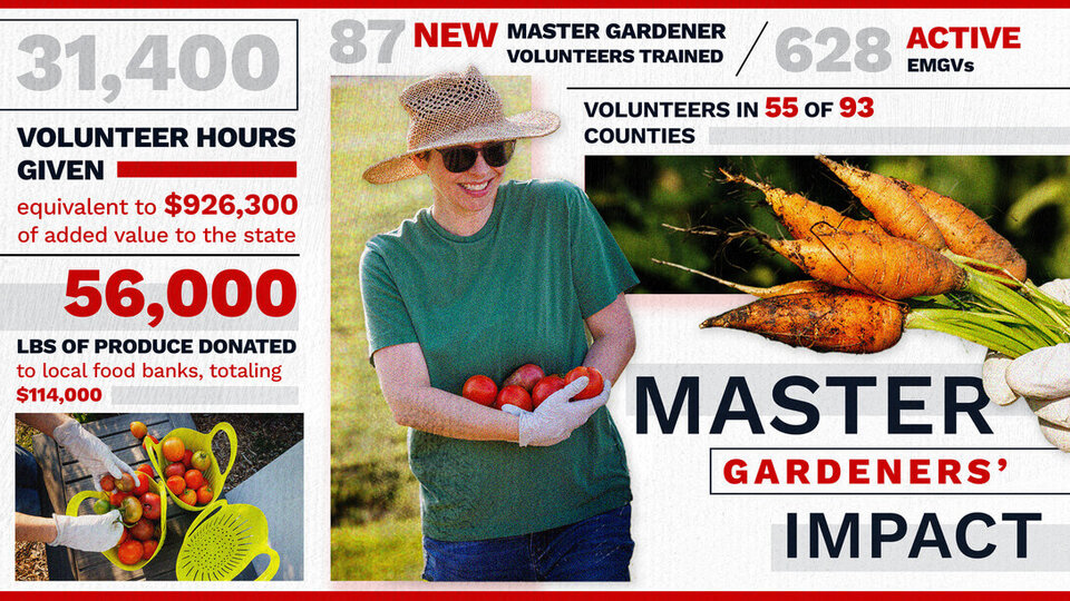 Extension Master Gardener impact graphic